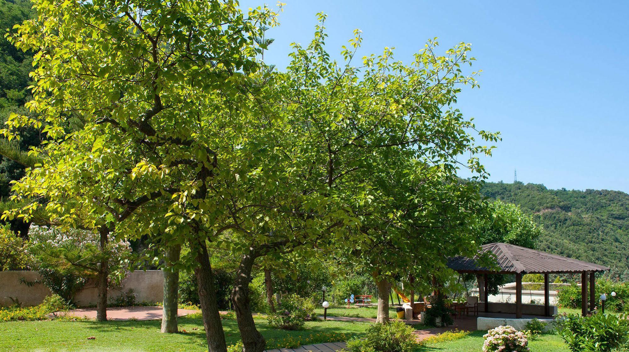 Hotel Parco Delle Rose Acquappesa Exterior foto